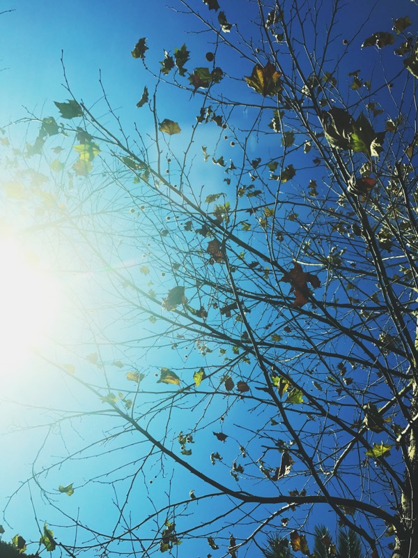 20170109_013613000_ios